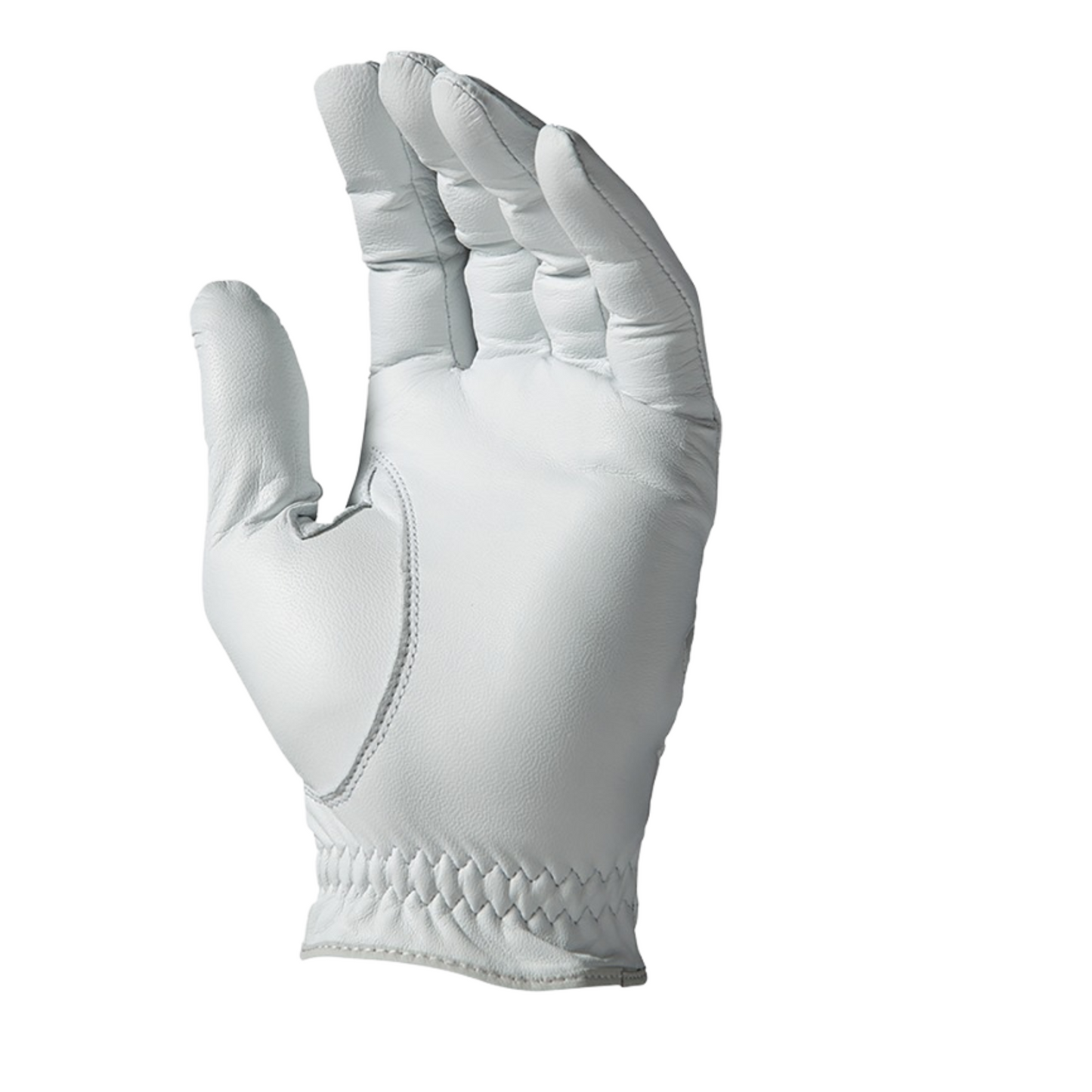 Tour Premium Glove